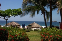 patioview2.jpg